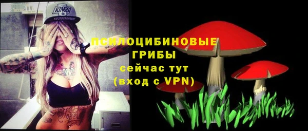 хмурый Бронницы