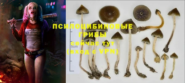 apvp Бугульма