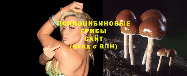 бутират Богданович