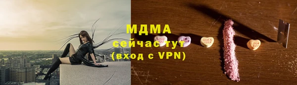 хмурый Бородино