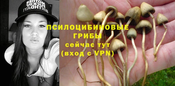 марки nbome Белокуриха
