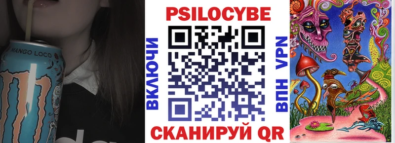 Псилоцибиновые грибы прущие грибы  даркнет какой сайт  Канаш 